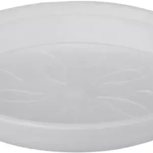 Vyhodná Nabídka Miska Green Basics Orchid - transparent 10 cm